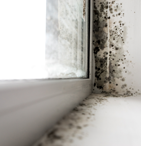 Конденсат и плесень на окнах